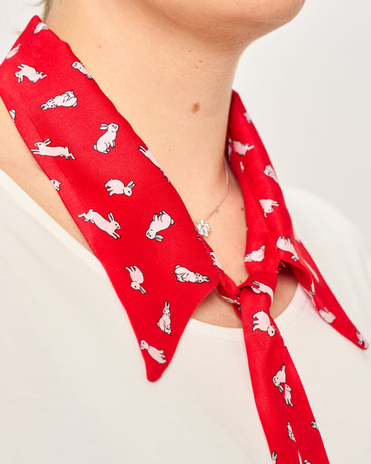 Colletto Camicia da Allacciare